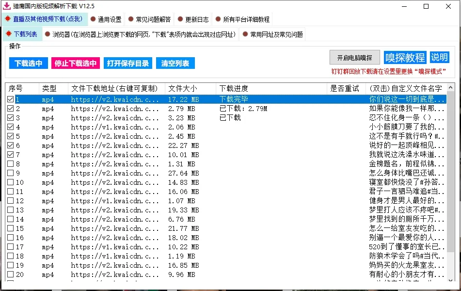 国内版视频解析下载详情图片